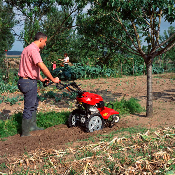 FF500