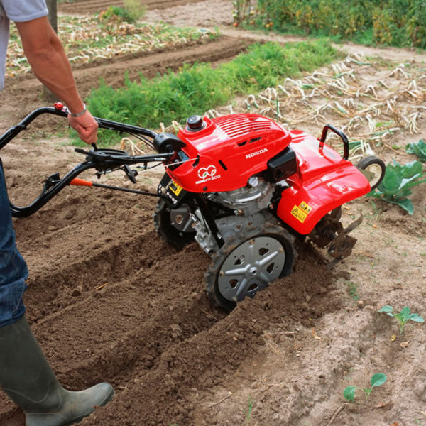 FF500